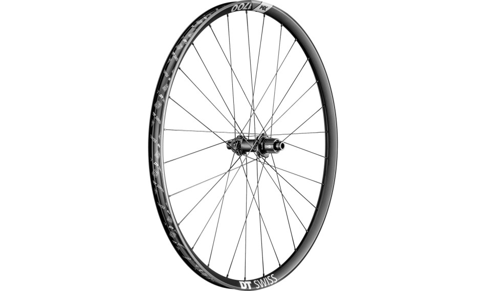 DT Swiss XM 1700 29" Boost Rear Wheel Micro Spline Freehub